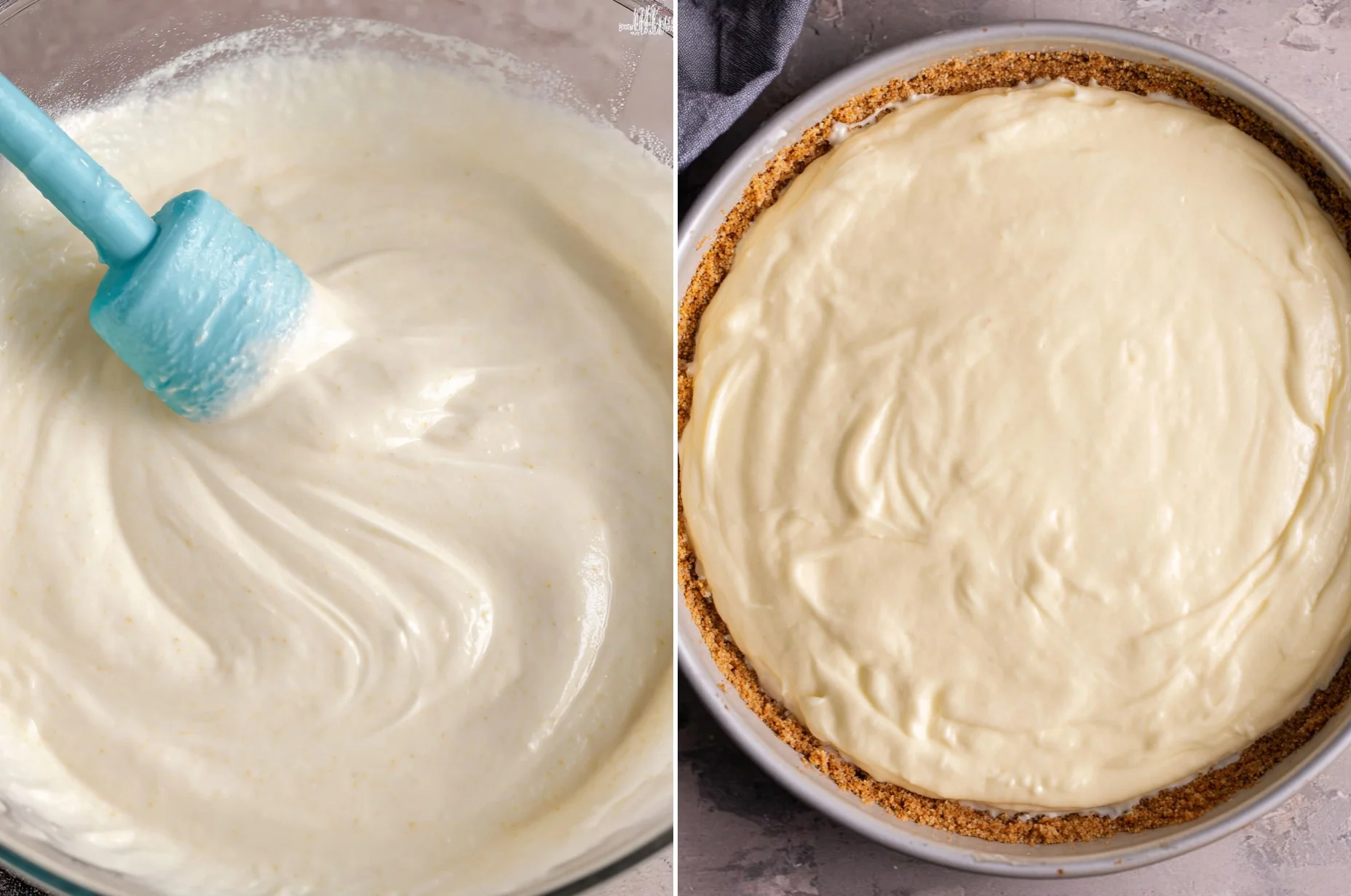 Vanilla Bean Cheesecake 6 Vanilla Bean Cheesecake