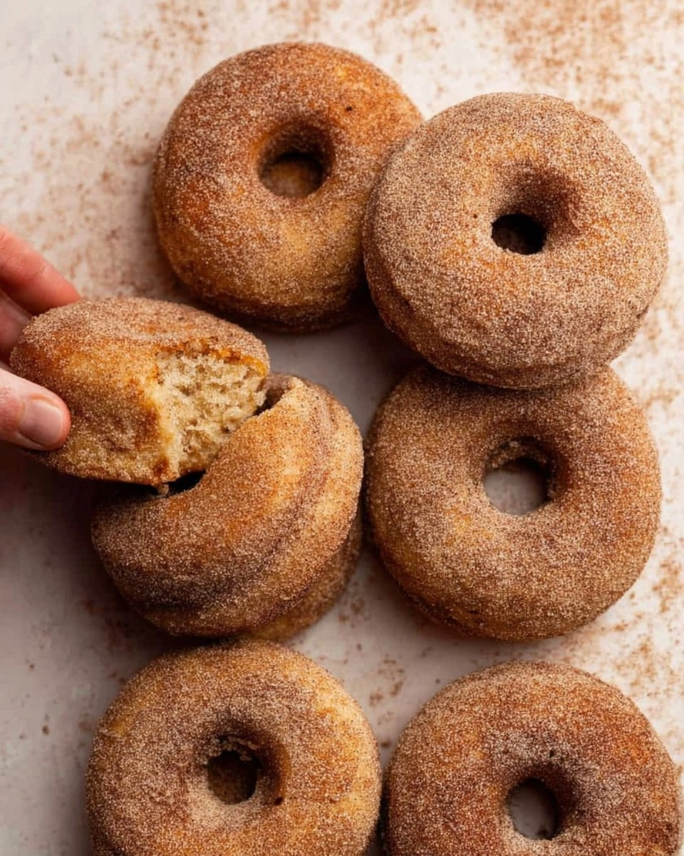 Baked Cinnamon Sugar Donuts